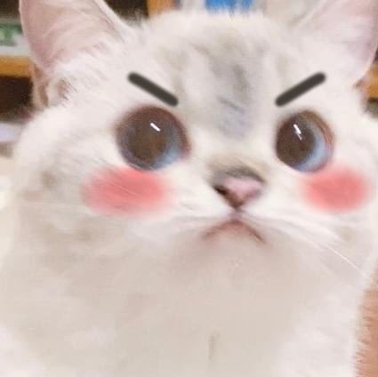 e61336c55316ae08112434c4ab4ccfda_1678703374_3597.jpg