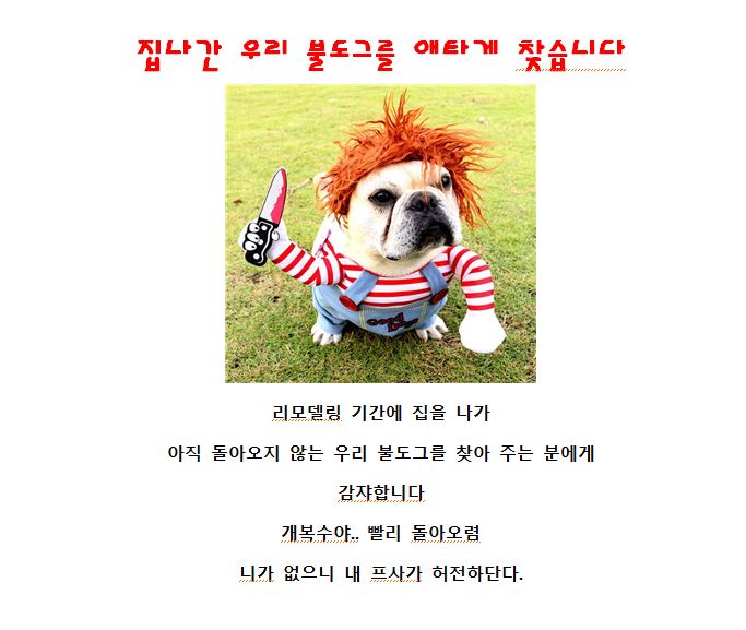34a91f4116585d19a8ab427846ddd74b_1681642475_7185.JPG