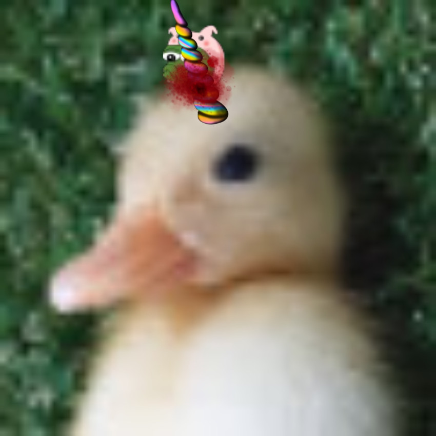 9a8bf96e84c1b088ce75f92f2ebee0f4_1681106931_2321.jpeg