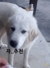 26e72b4bf06c8582c1c8101d13275251_1690029385_1232.gif