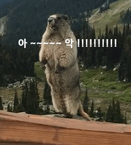 e0ff4bb326347c6b85e5e3824a506ae0_1690025854_9351.gif