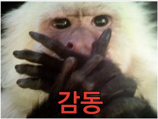 67a2ff802f840ae18b1d7212948d23c2_1691595319_2583.png