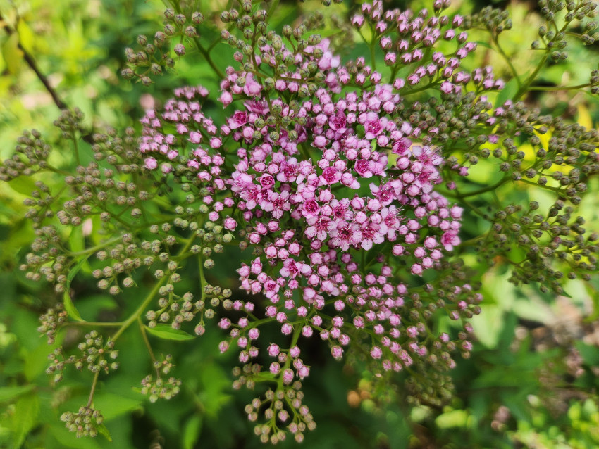 4b7fd4e0781c1838d827c073cc5aea3e_1692971779_4874.jpg