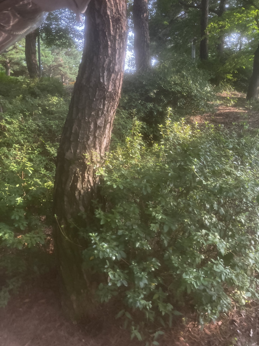 4ee0459ff3cf0b1615e705e05aa9263b_1692086321_7293.jpeg