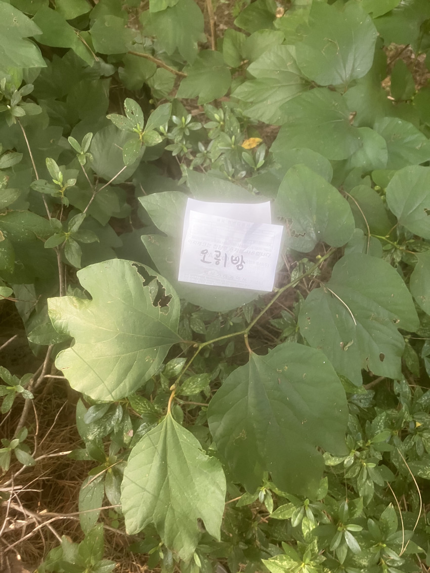 4ee0459ff3cf0b1615e705e05aa9263b_1692086326_4164.jpeg
