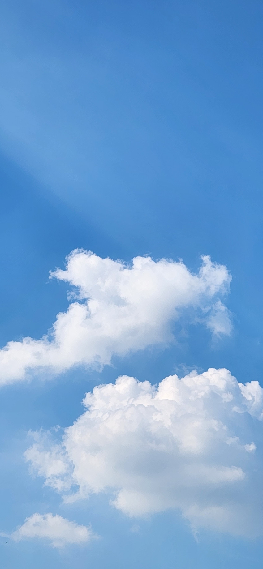 90ac7b5cd6dd4083589506c8b3308a10_1692255205_2033.jpg