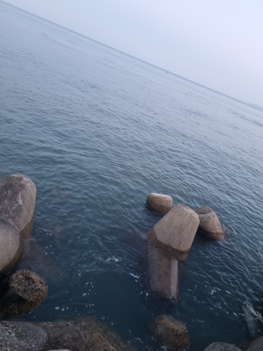 c99bb7cd02ea480eed603f3f2d72a30e_1693581743_2836.jpg