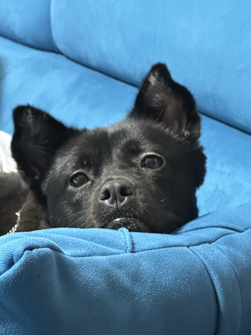 f9263497730167c42d109ae1e30d3d19_1695040539_7116.jpeg