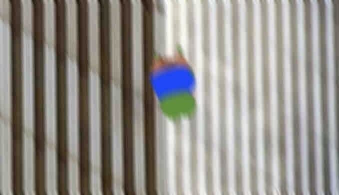 0690dc9504568c4f421f0cc13466a1ec_1703319799_3571.jpg
