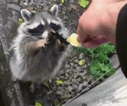 475e7d20cb2375266bbd8aedf0344d4d_1703312967_8011.gif