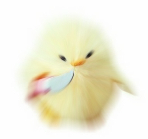 c505b0baf56cca13ce1c8dbbba0d9ff5_1702110889_948.jpeg