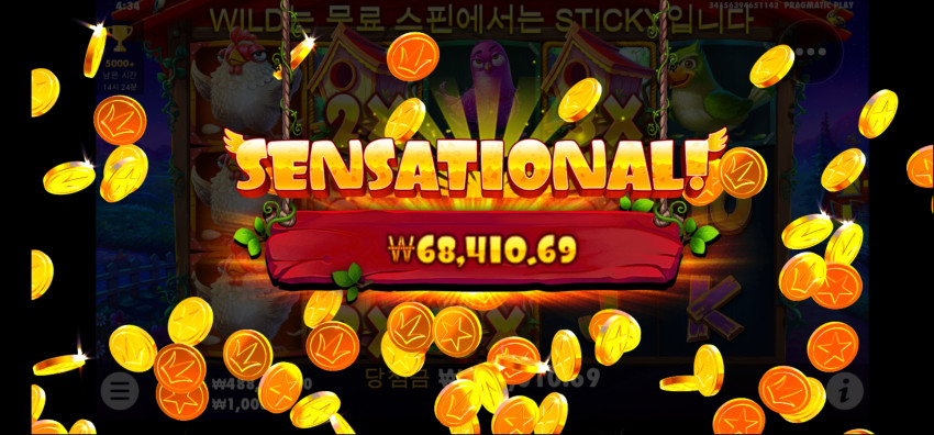 550eb6a360de4d4d7253dfdfcdffcbbe_1703014526_0685.jpg