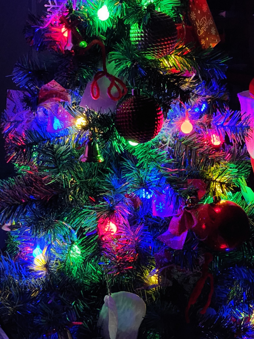 665a287e7c174cff58bf33265614d52e_1703423338_5638.jpg