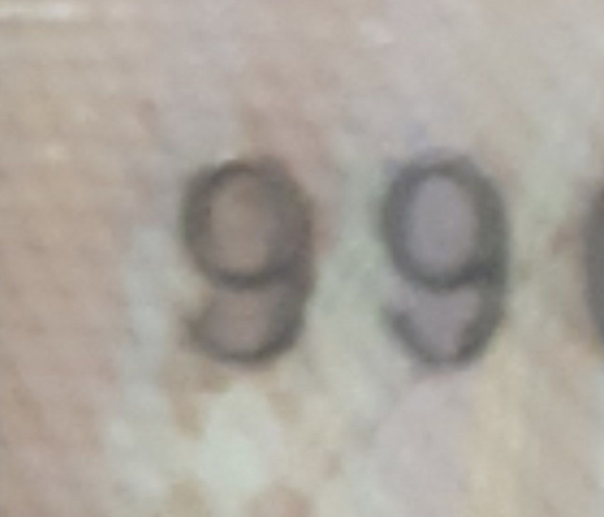 87f85ddfe5dae793c14e853a5adde264_1703408801_0087.jpg