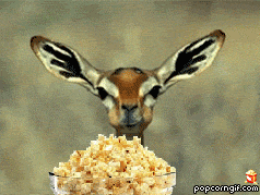 a0b9e750dd057baf23984d0af97b5f0b_1706434626_6022.gif