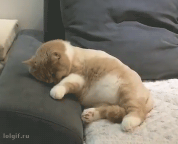 c19c486b2f27d103338dd26f2a500811_1704983355_0853.gif