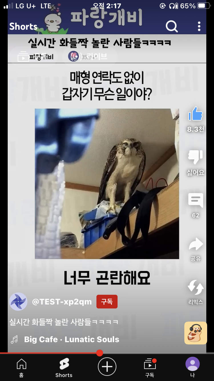 f9c8ea947024bf19a91127d383e46f4f_1706462361_8037.png