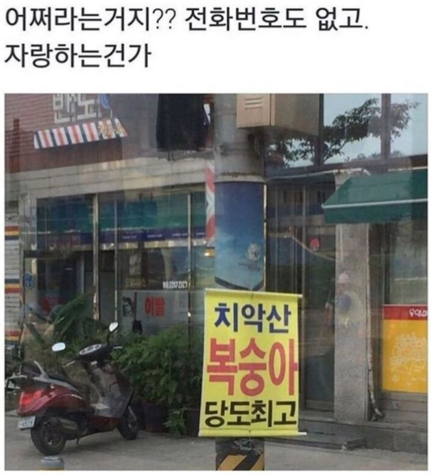 6d540c672323858e6cfadf95c67f52aa_1704287994_3736.jpeg