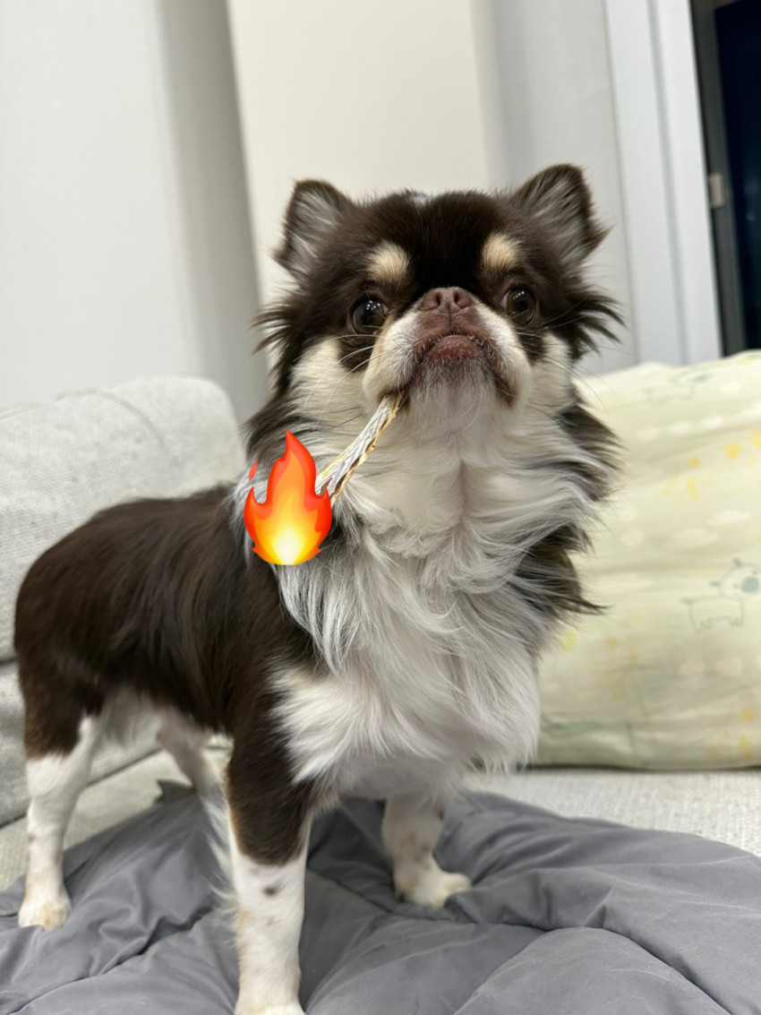 cc83f187b3396ee53a7d9f97562f4cbd_1706688775_8299.jpeg