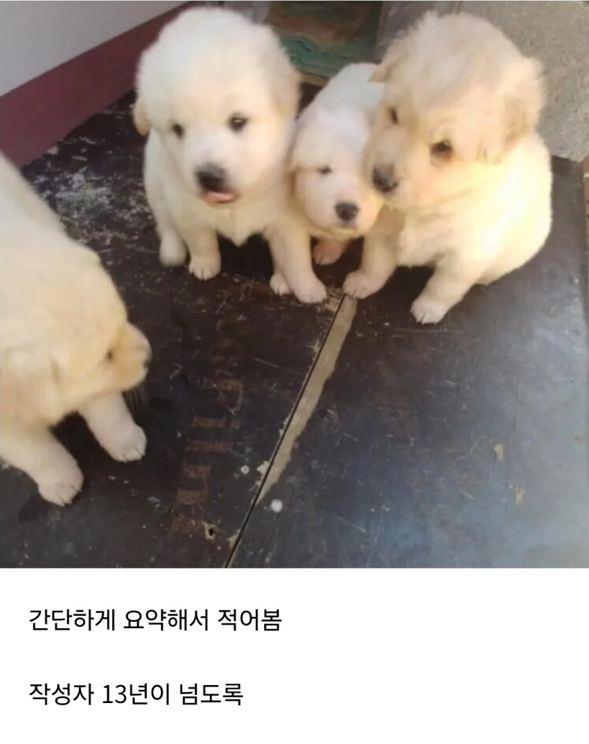 e514969d3512602d674bb822b7d4da85_1704537957_3873.jpg