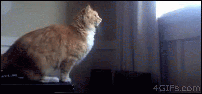 74753e42b81506fcf034d4540a8d166a_1714191593_4585.gif