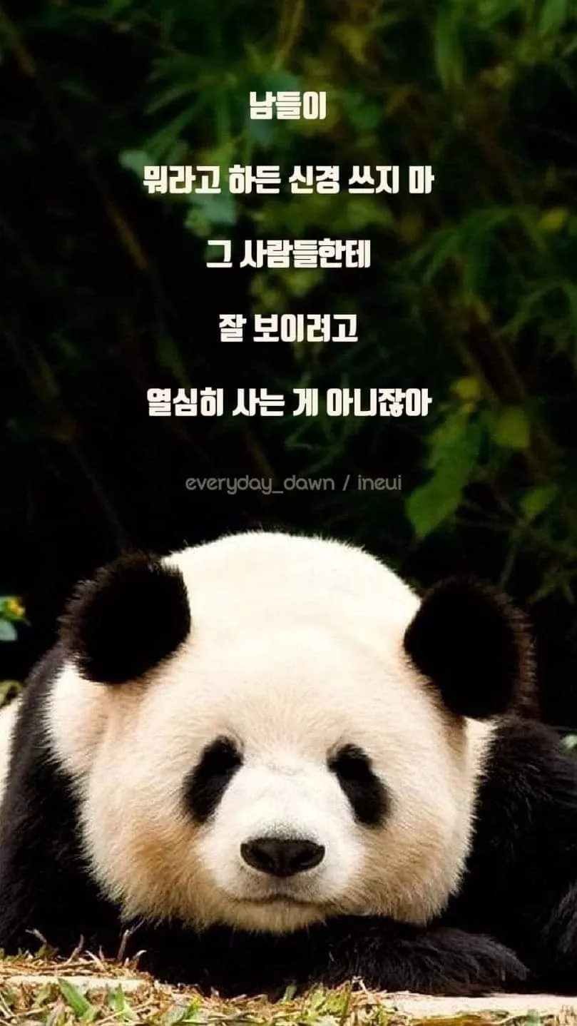 c7c7734add163ecd8a175a34c3011dd7_1713796025_3885.webp