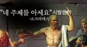 e16e14c116bef4fc9c722579f0ffe8f5_1716499221_2657.webp