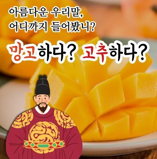 22646dccaeda070359069603a0f30f0c_1725840172_0885.webp