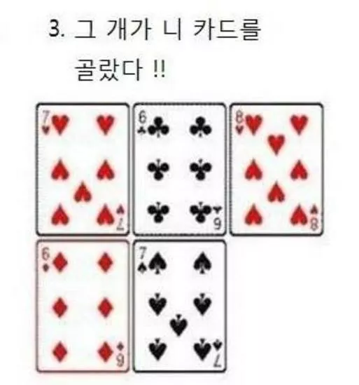 43dbea8a80c4b9794d07d3db45936431_1726205748_7334.webp