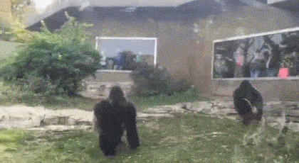 55217a4e39c4f7c6a96a52802e4c8f48_1727523541_2363.gif
