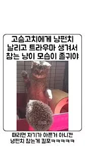 5aa63fecd0e76c4d226b4d834f8da6c4_1727686373_0803.webp 5aa63fecd0e76c4d226b4d834f8da6c4_1727686373_0803.webp