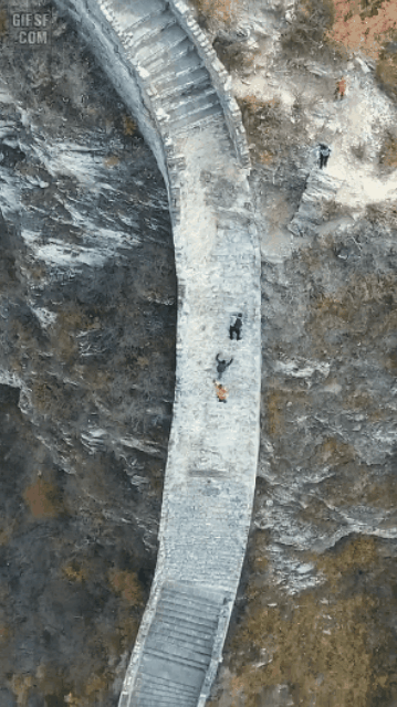 5bb69cc7ab119726aa8a693b822f53df_1727333494_0047.gif