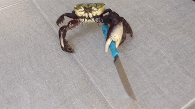 a98d3211b82021fabcf7751428b1797e_1725890361_3101.gif