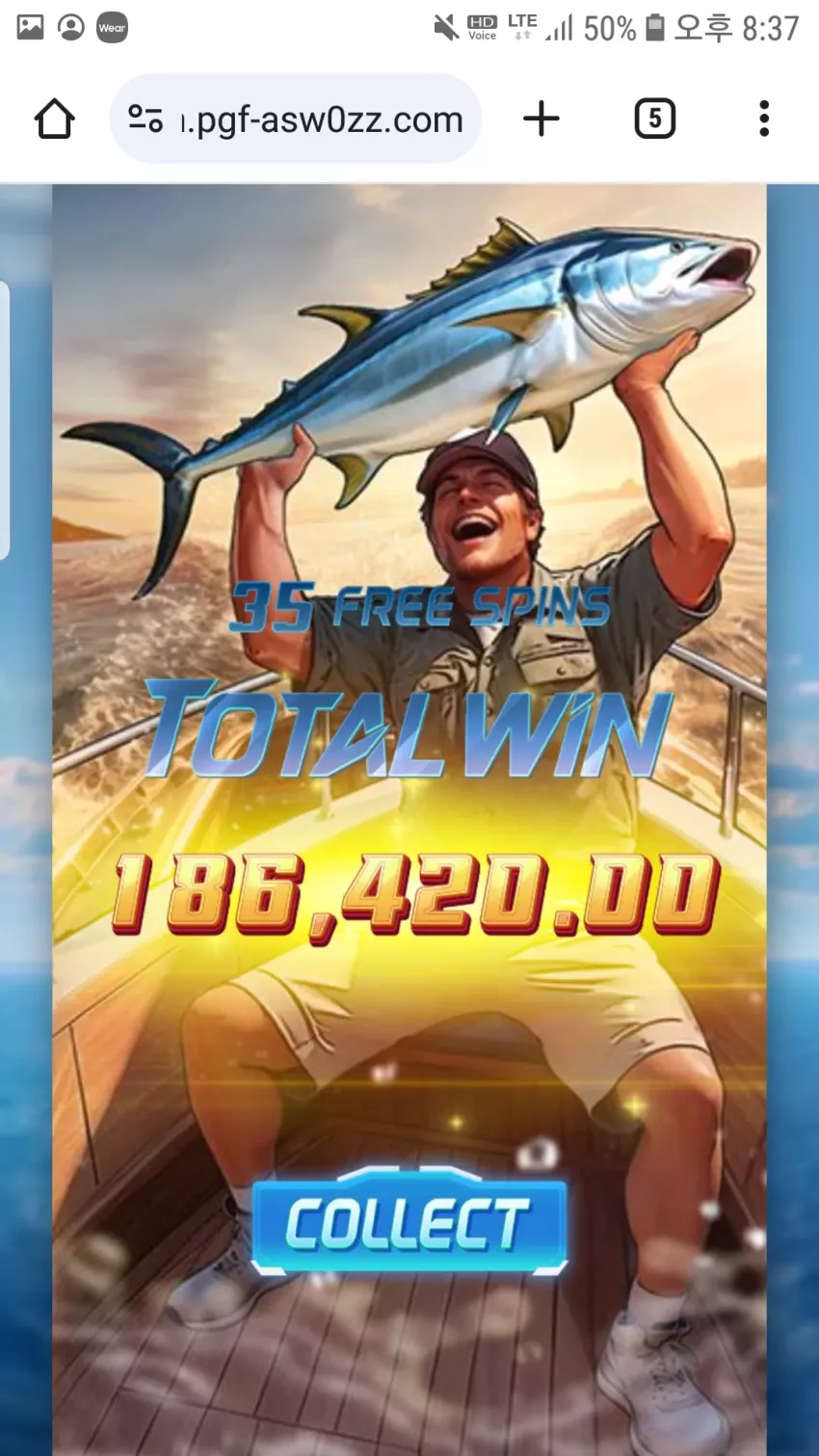 58bc4fec1de29b147ddb1d9bd793b9f5_1725284071_1232.webp