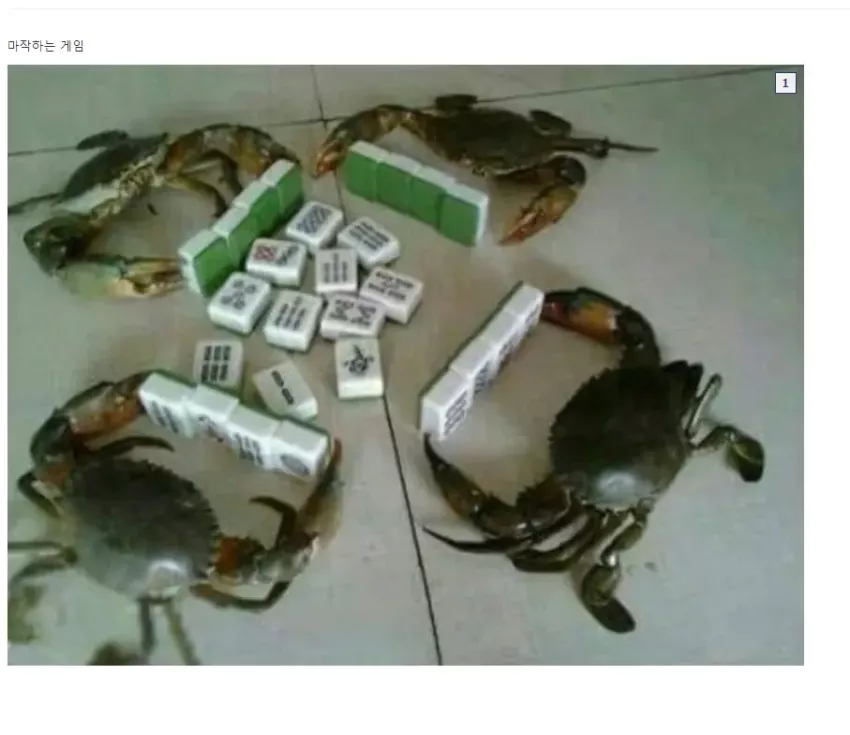 a98d3211b82021fabcf7751428b1797e_1725890115_4365.webp
