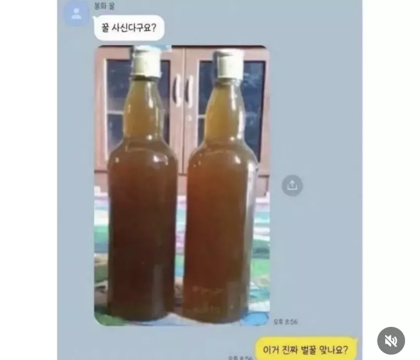 c2d8c9e69f811c5574f6b668d199ae96_1725698120_8651.webp