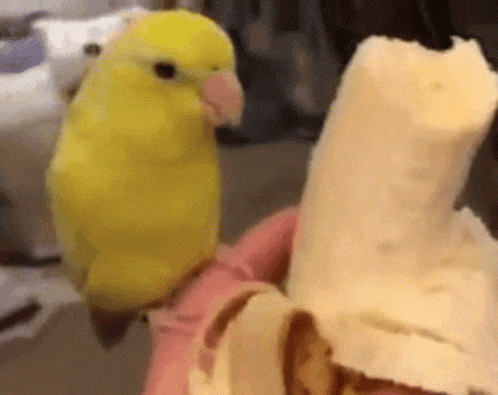69726d9fb21891a19cd28719254190e4_1729552355_3684.gif