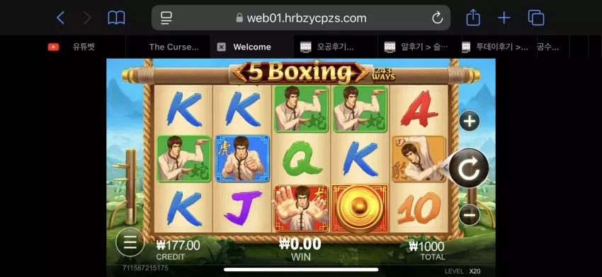 0d300bc6cdcc2541abd1ce91bf61b6e5_1728907252_9889.webp