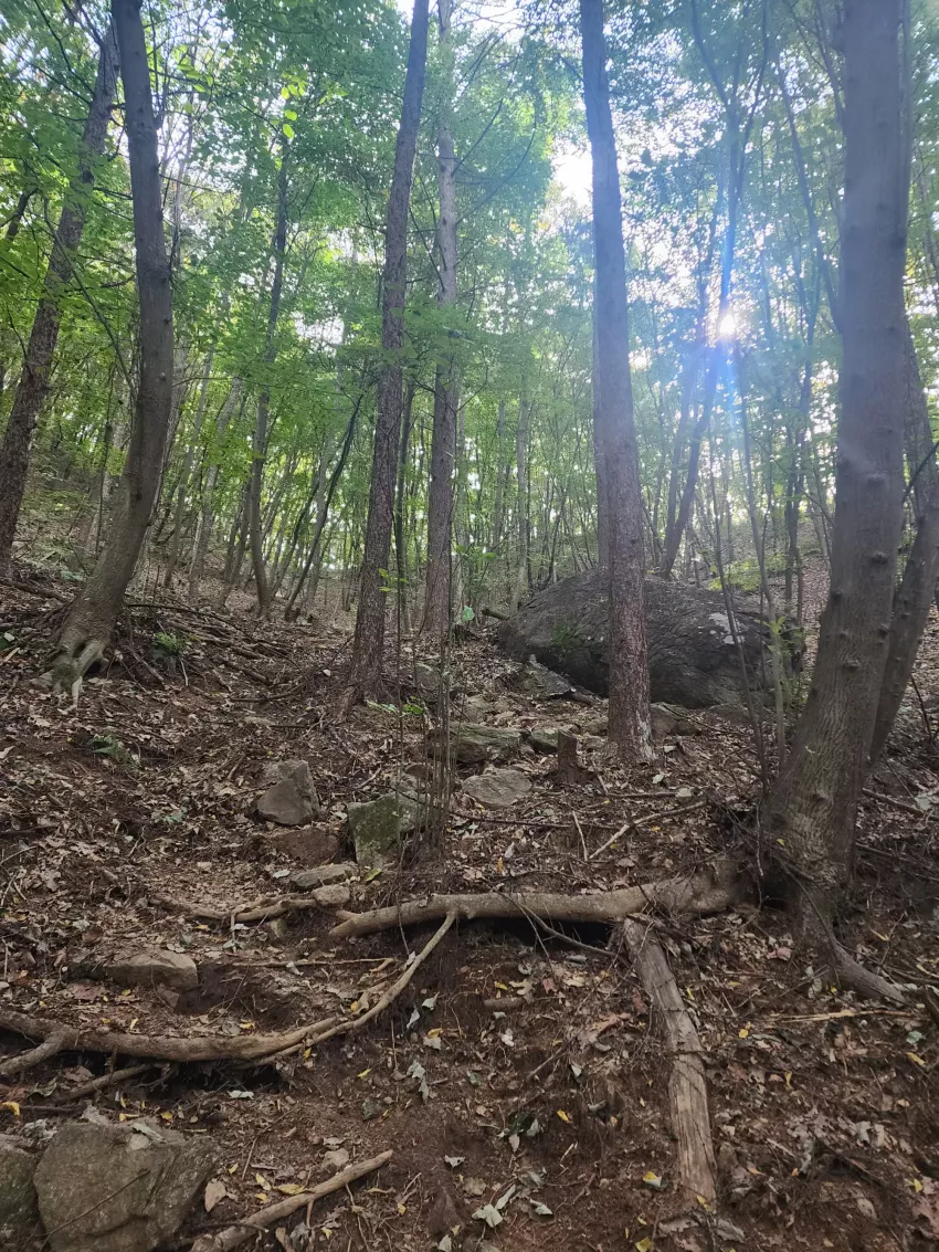 510a3e2b66aacc9da82a37be6dbad1ee_1728793522_717.webp