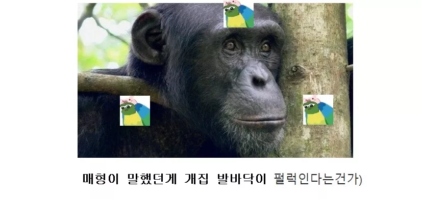 2902f6216b876a80c9c3c99604d2b23c_1731928106_2733.webp 2902f6216b876a80c9c3c99604d2b23c_1731928106_2733.webp