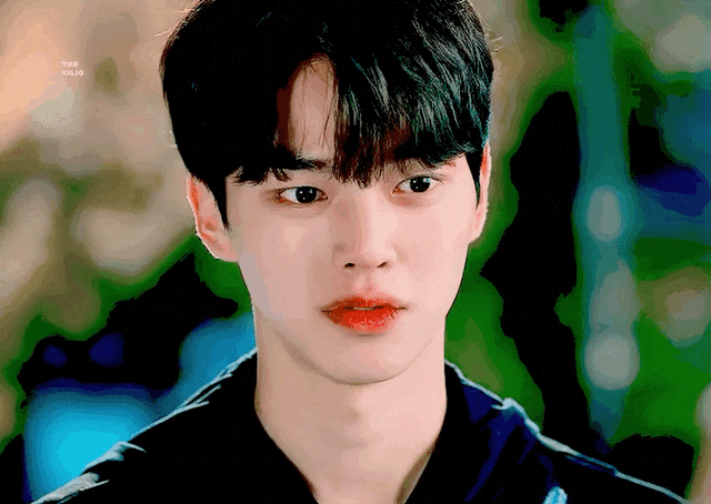 3bcd3451d8c39d9cd68cd67b3840583d_1732199332_4304.gif