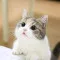 4f10762b1b161f0acbab28947889943a_1731851686_1372.webp