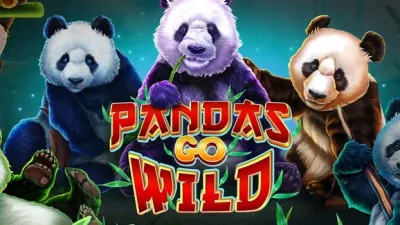 [슬롯리뷰]팬더고와일드(pandas go wild) - 우후게임즈