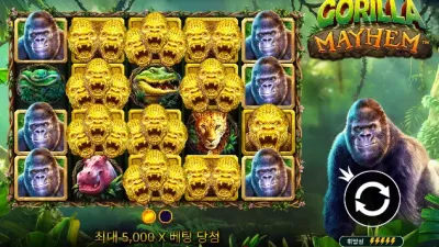 [슬롯리뷰] 고릴라 메이햄(Gorilla mayhem) - 프라그마틱