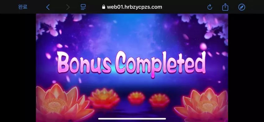 856bd014edff545102942f600102a9b5_1731426282_6867.webp