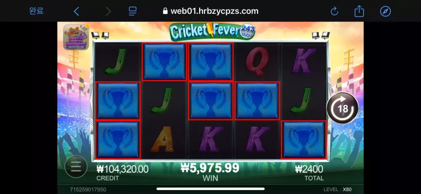 99096e3444509d91c1cf71ff4ea4a268_1732413432_938.webp