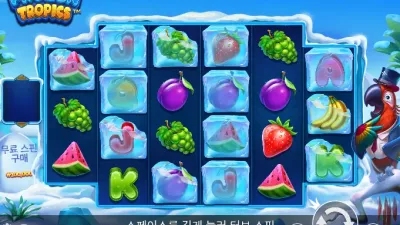 [슬롯리뷰] 프로즌트로픽스 (Frozen Tropics) - 프라그마틱