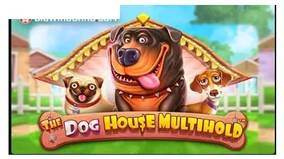 [슬롯리뷰]더 도그하우스 멀티홀드(The Dog House Multi Hold) - 프라그마틱