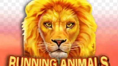 [슬롯리뷰]러닝애니멀스(Running Animals) - CQ9