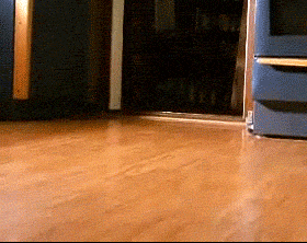 1c92db4dff5162c46467bf9904e33ce1_1735101926_7411.gif